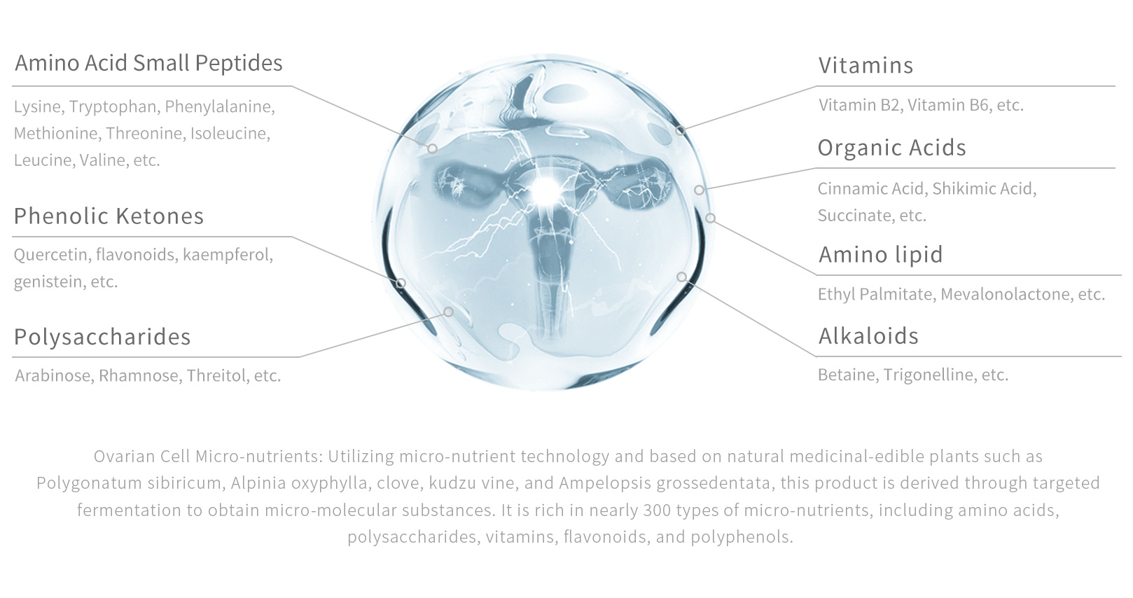 300+ Small-Molecule Nutrients Work in Synergy